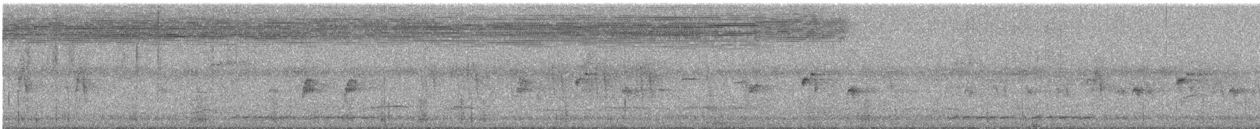 Striped Prinia - ML644690990