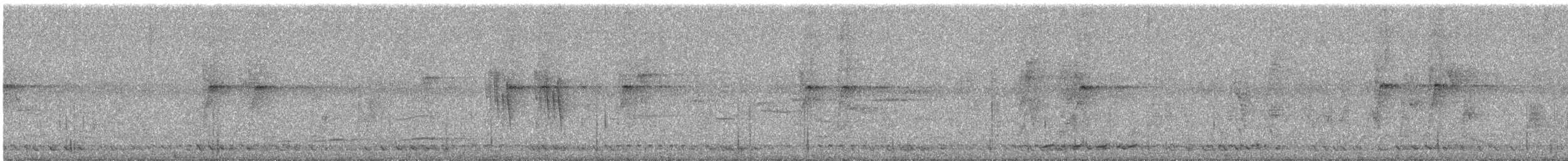 Striped Prinia - ML644691003