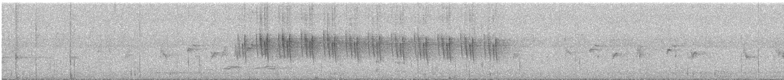 Striped Prinia - ML644691005