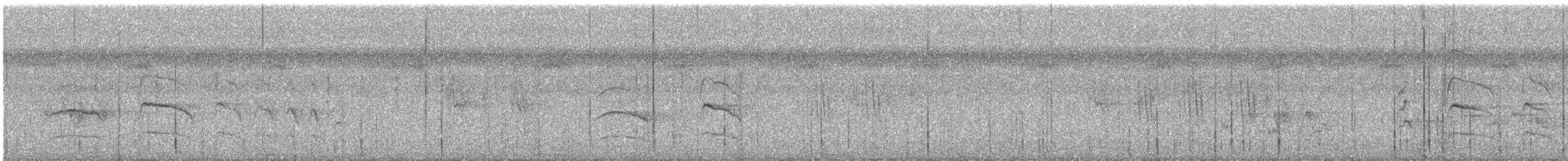 Striped Prinia - ML644691012