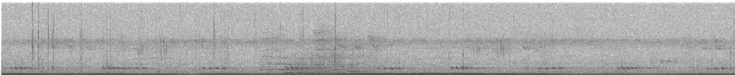 Striped Prinia - ML644691018