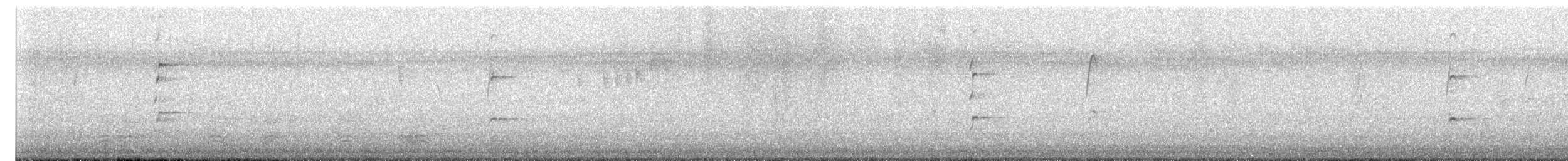 Beach Thick-knee - ML644691019