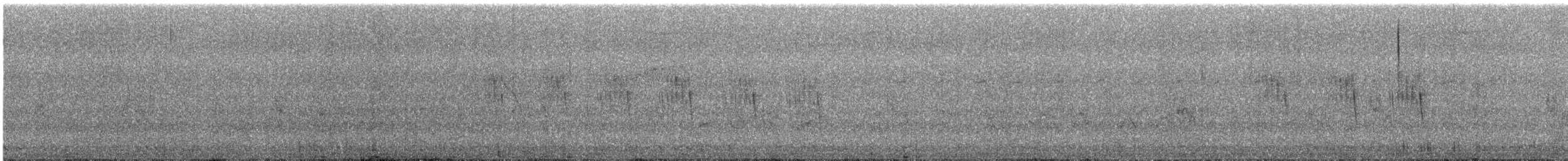 Striped Prinia - ML644691033