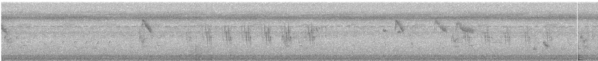 Striped Prinia - ML644691045