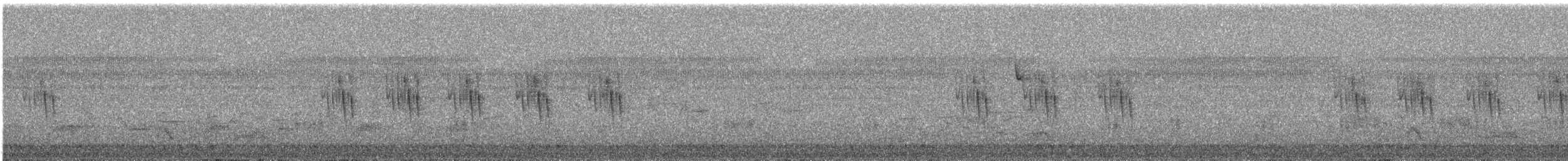 Striped Prinia - ML644691049