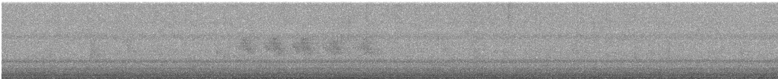 Striped Prinia - ML644691060