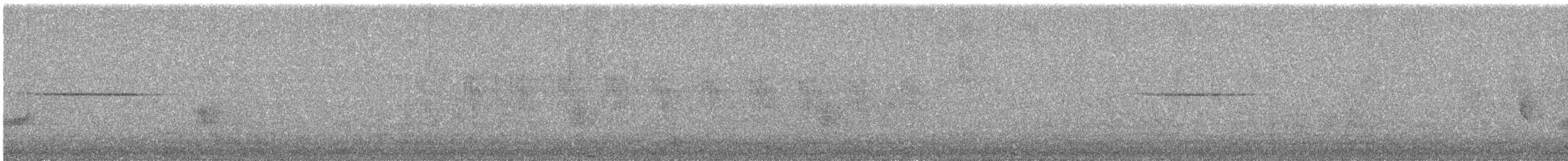 Striped Prinia - ML644691064