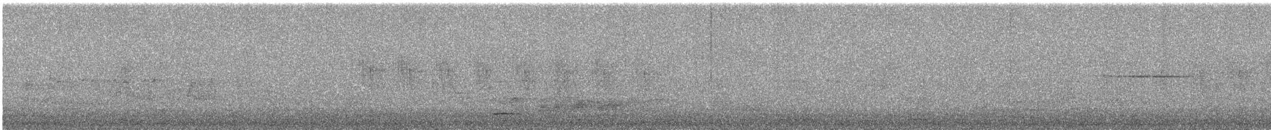 Striped Prinia - ML644691071