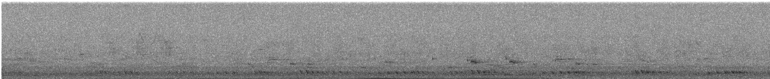 Striped Prinia - ML644691075