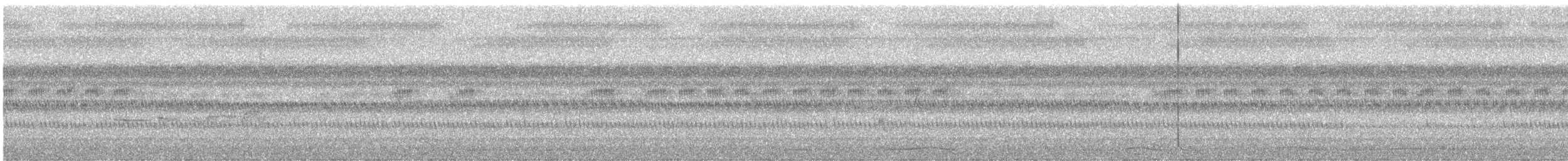 Colombar de Siebold - ML644691119