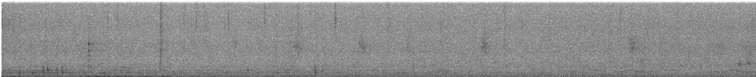 Colombar de Siebold - ML644691165