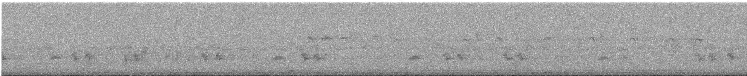 Colombar de Siebold - ML644691186