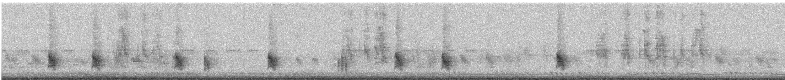 Colombar de Siebold - ML644691213