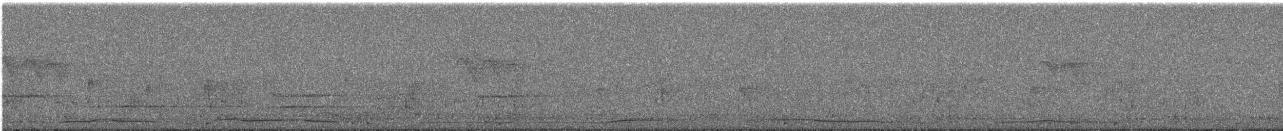 Colombar de Siebold - ML644691222