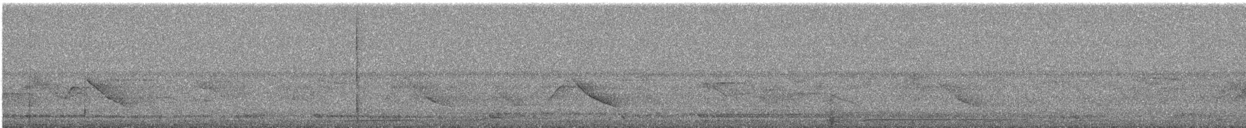 Colombar de Siebold - ML644691248