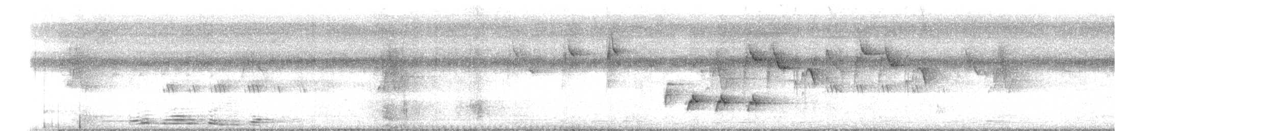 クリセタイヨウチョウ - ML644691262