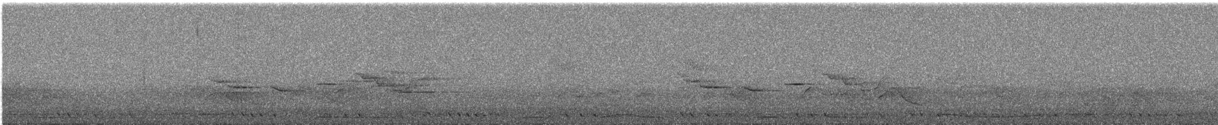 Colombar de Siebold - ML644691309