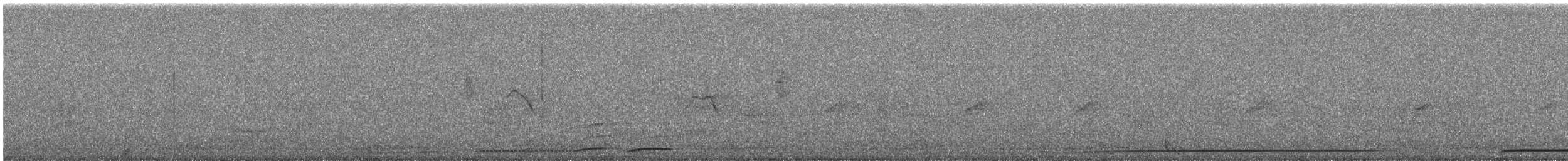 Colombar de Siebold - ML644691322