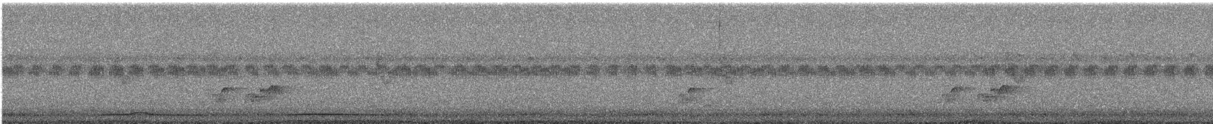 White-bellied Green-Pigeon - ML644691582