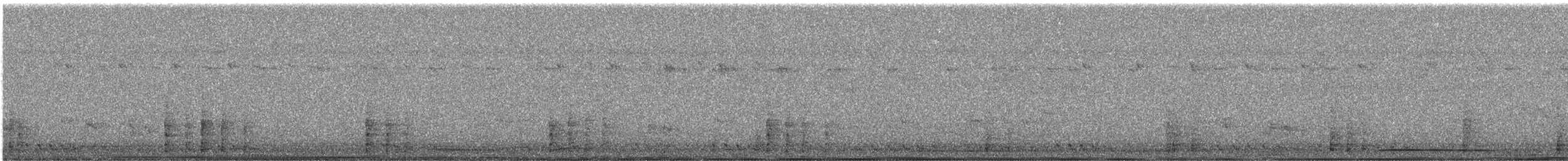 White-bellied Green-Pigeon - ML644691588