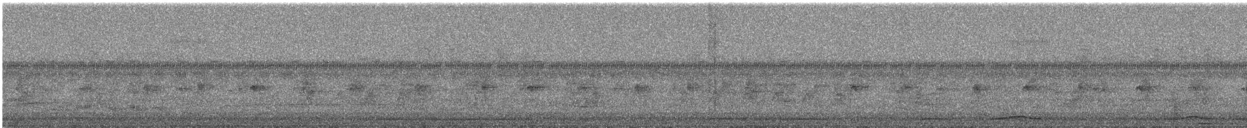 White-bellied Green-Pigeon - ML644691589