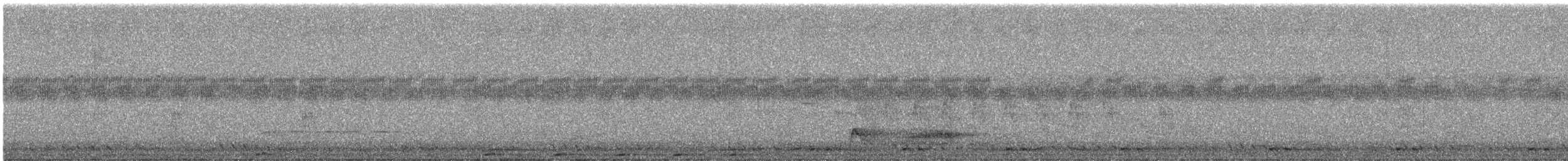 White-bellied Green-Pigeon - ML644691599