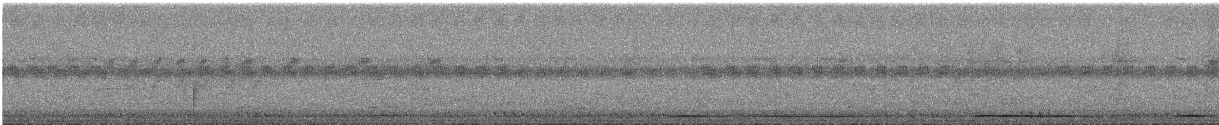 White-bellied Green-Pigeon - ML644691623