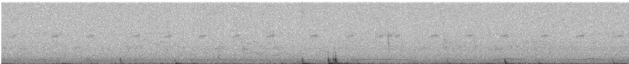 White-bellied Green-Pigeon - ML644691626