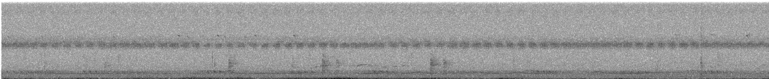 White-bellied Green-Pigeon - ML644691645