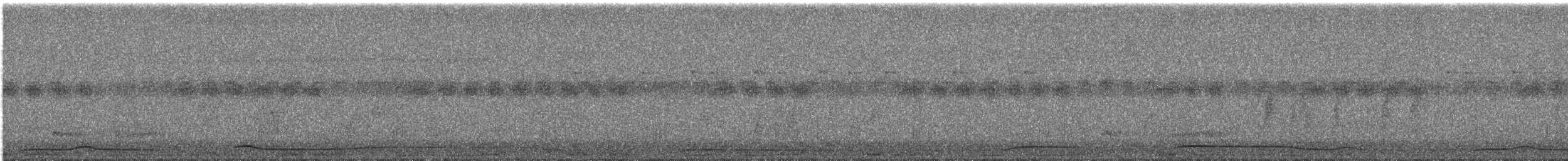 White-bellied Green-Pigeon - ML644691657