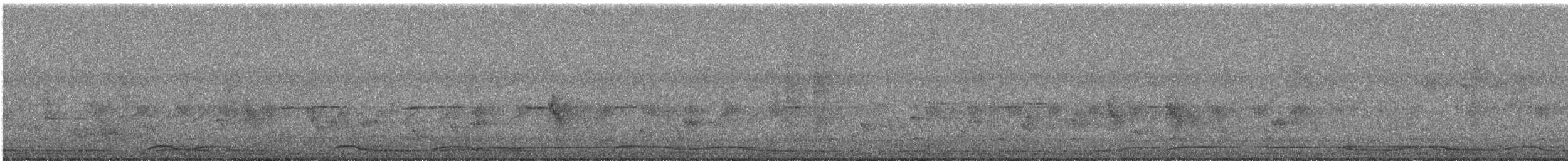 White-bellied Green-Pigeon - ML644691724