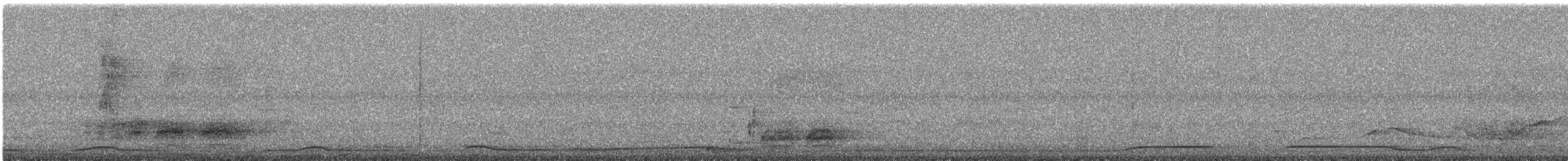 White-bellied Green-Pigeon - ML644691737