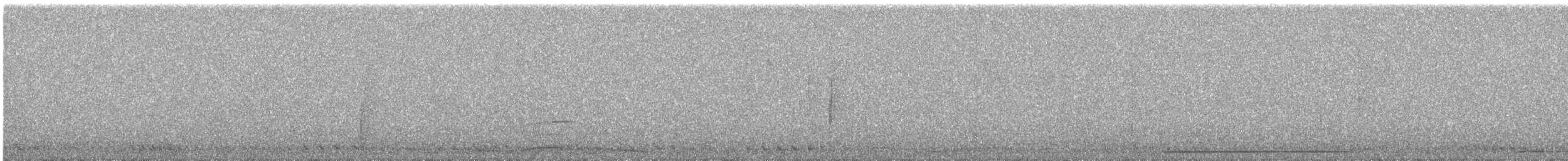 White-bellied Green-Pigeon - ML644691749