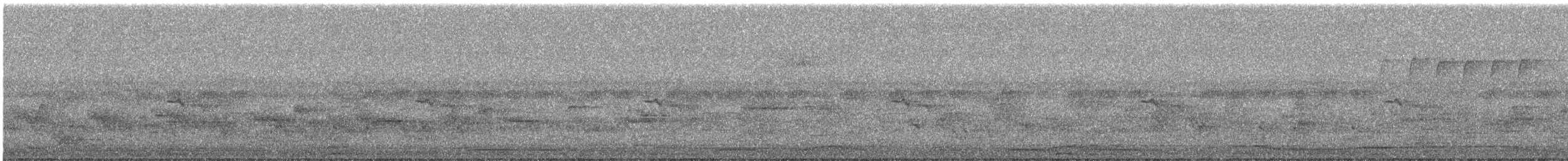 White-bellied Green-Pigeon - ML644691763