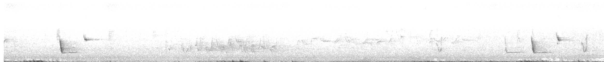 Rufous Whistler - ML644691961