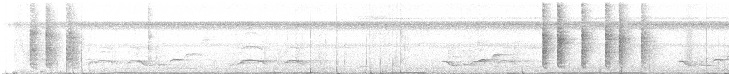 White-rumped Shama - ML644692737