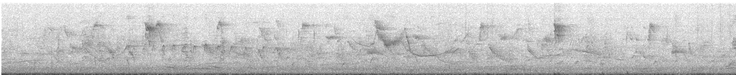 špaček černý - ML644693509