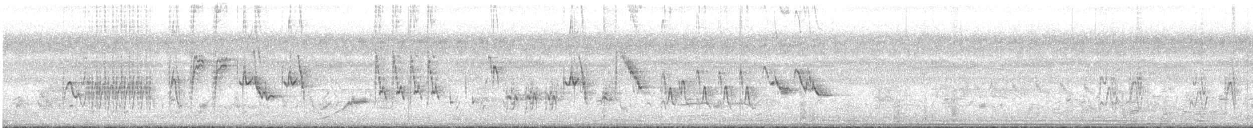 White-browed Wagtail - ML644693550