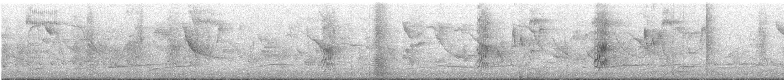 Monk Parakeet - ML644693672