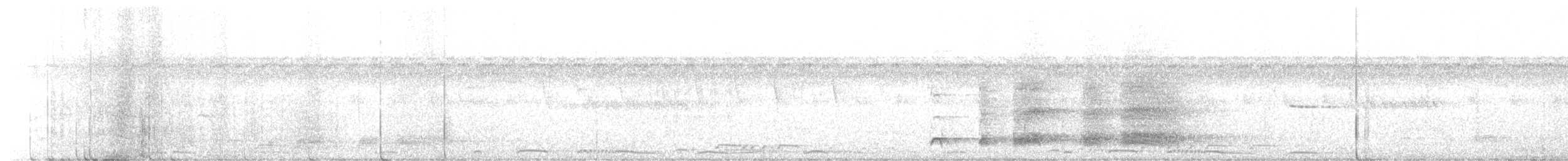 Perlfrankolin - ML644694733