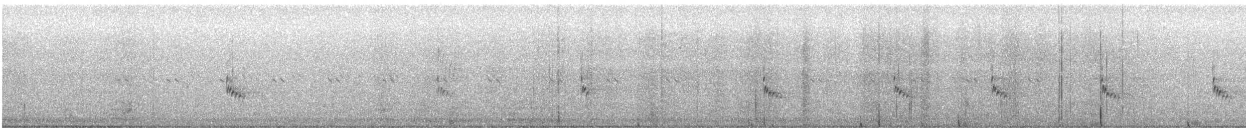 Carolina Wren - ML644694792