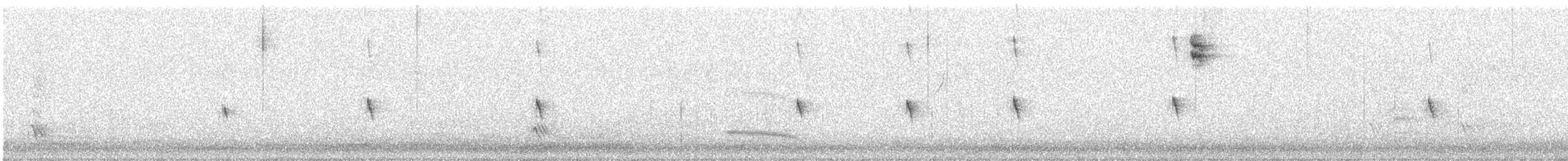 passerine sp. - ML644694995