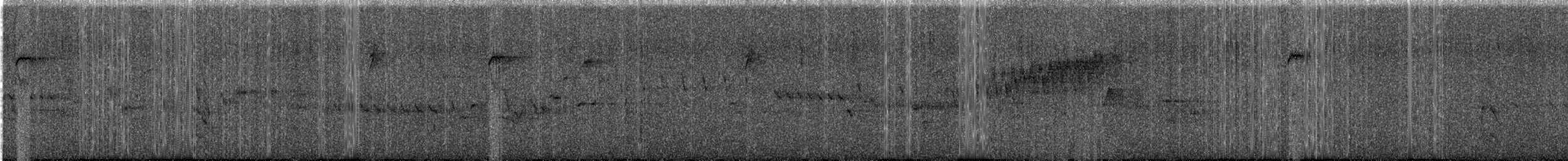 Northern Parula - ML644695468