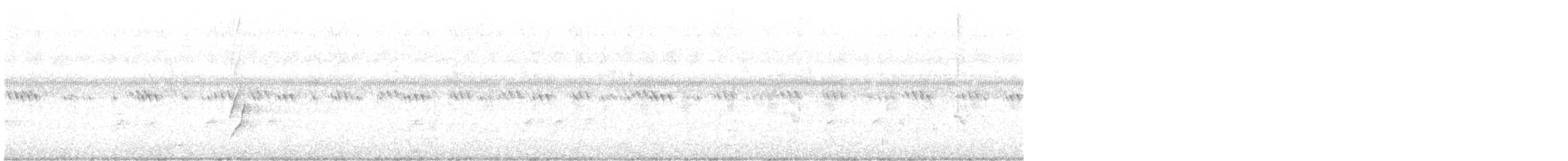 Erik Başlı Yeşil Papağan - ML644695896