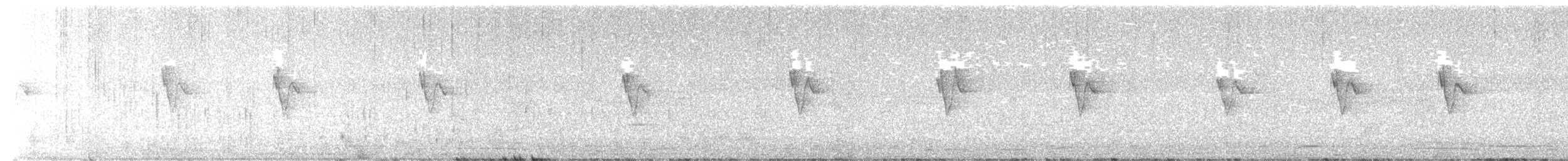 budníček altajský - ML644695957