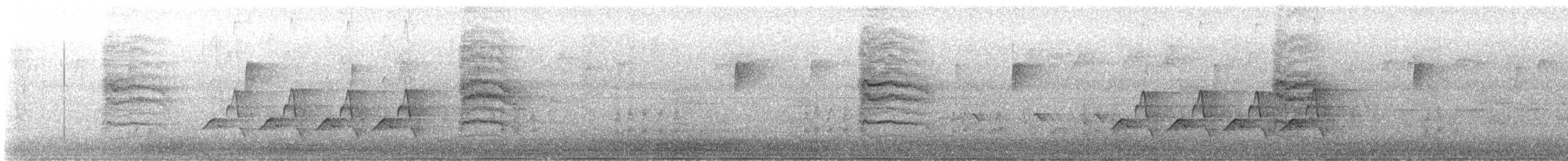 Carolina Wren - ML644696229