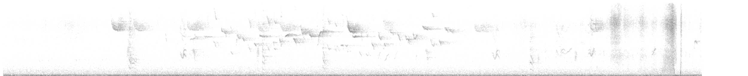 フユミソサザイ - ML644696671