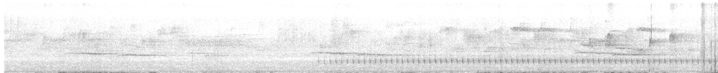 Russet-tailed Thrush - ML644697234