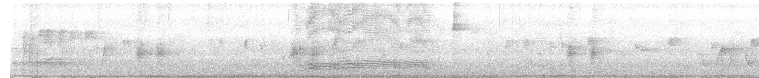 ネコドリ - ML644697303