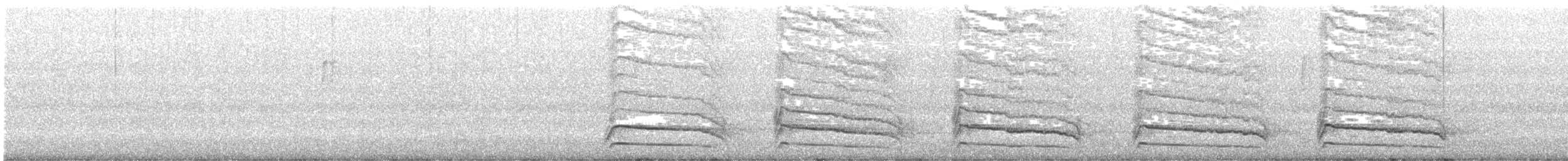 Red-shouldered Hawk - ML644698015